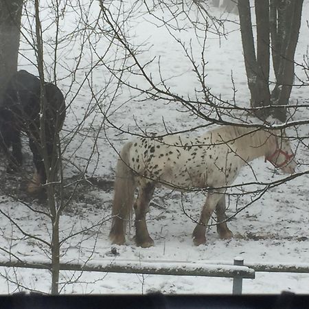 Penzion Na Sluníčku Mariánská Exteriér fotografie