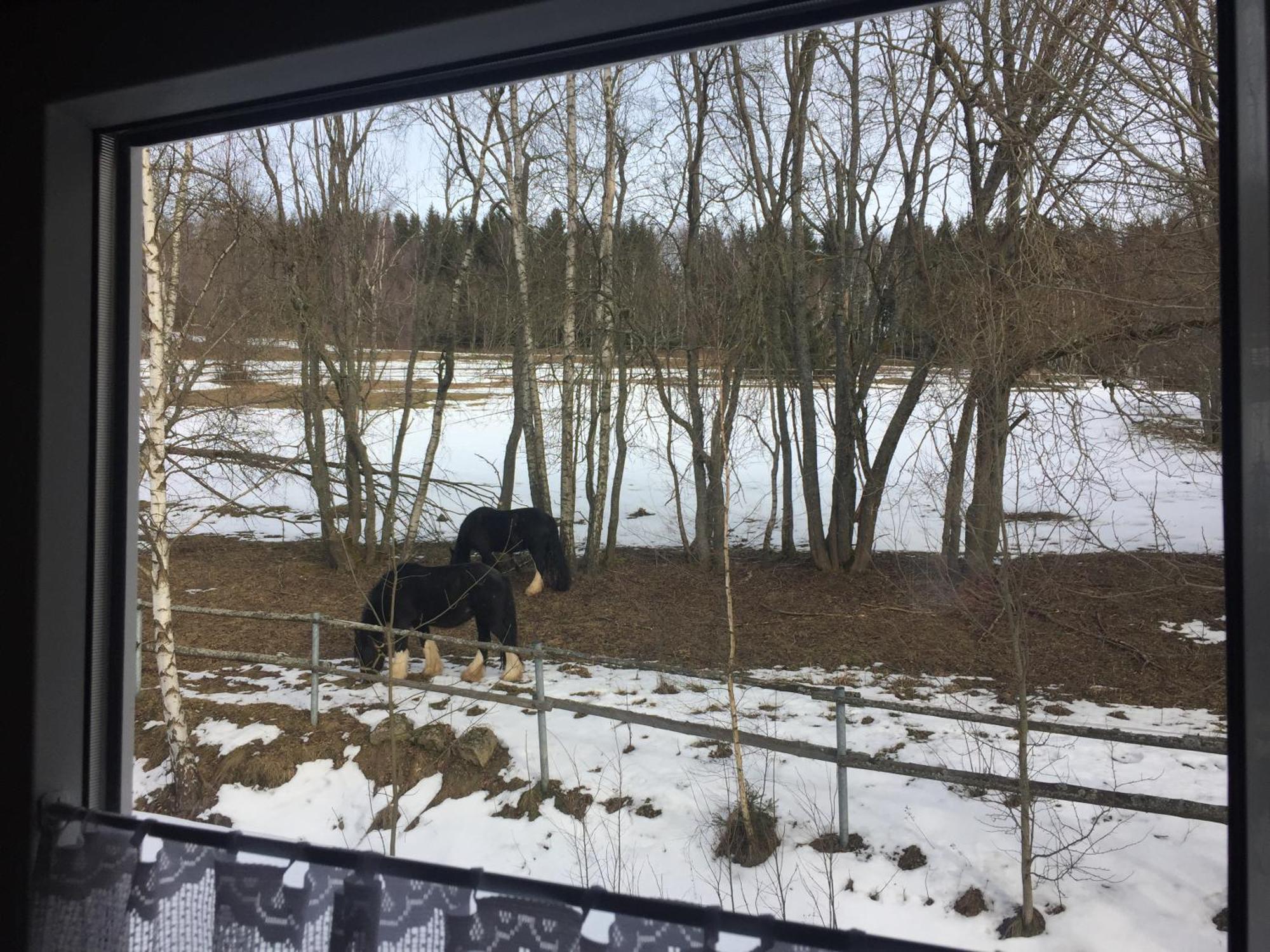 Penzion Na Sluníčku Mariánská Exteriér fotografie